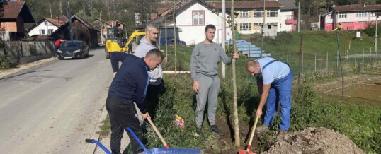 Posađene nove sadnice za ljepši Kotor Varoš